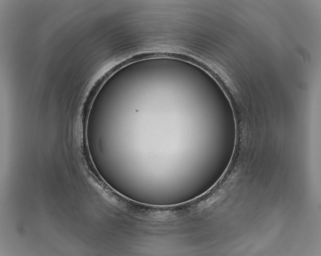 X0000111590982200907231211