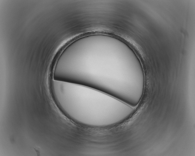 X0000111590983200907231211