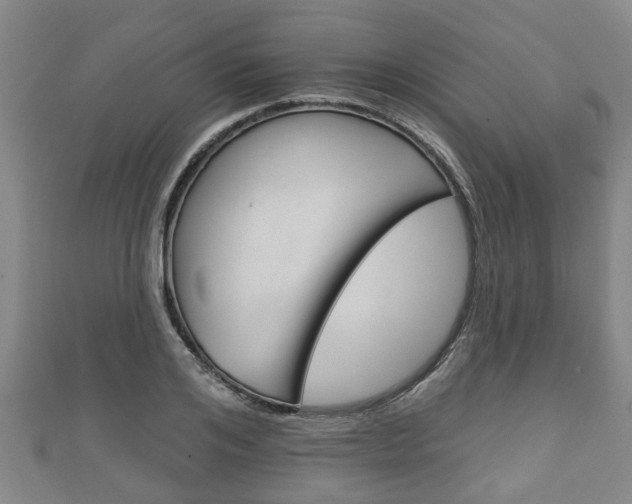 X0000111590984200907231211