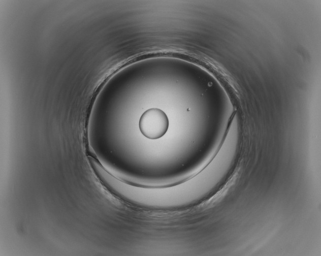 X0000111590985200907231211