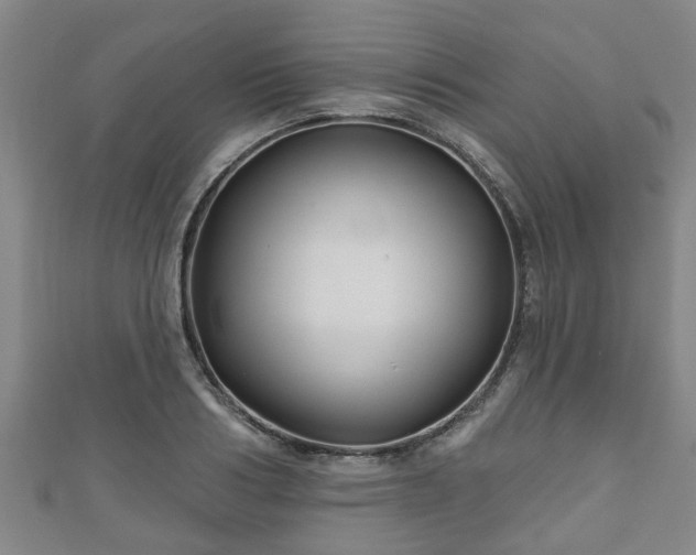 X0000111590986200907231211