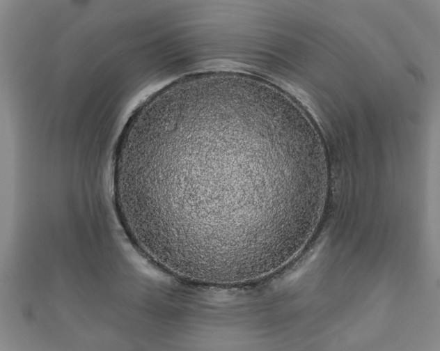 X0000111590987200907231211