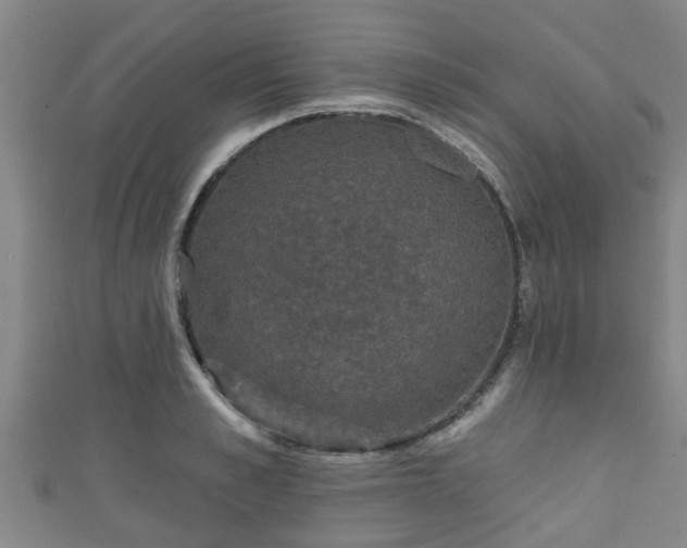 X0000111590989200907231211