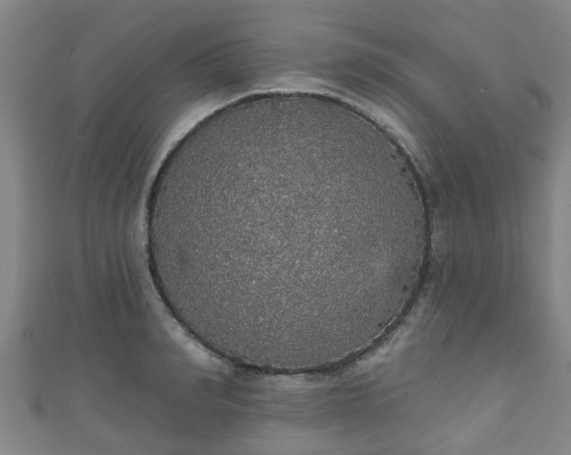 X0000111590990200907231211