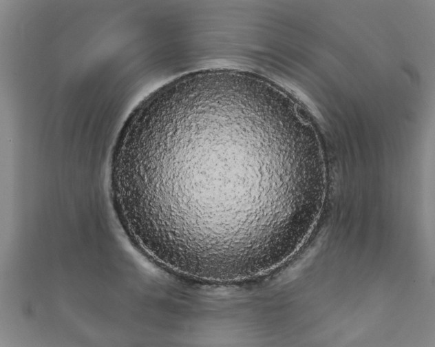 X0000111590991200907231211