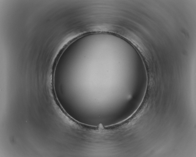 X0000111590992200907231211