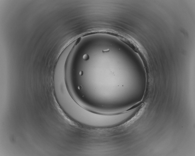 X0000111590993200907231211