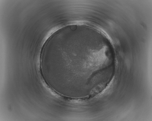 X0000111590994200907231211