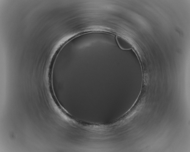 X0000111590995200907231211