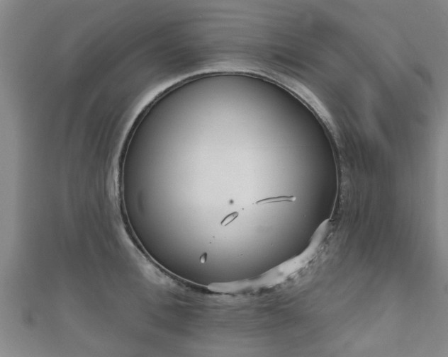 X0000111590996200907231211