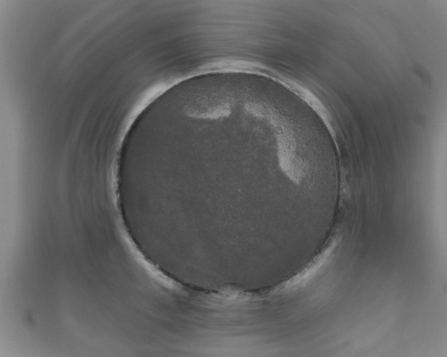 X0000111590997200907231211