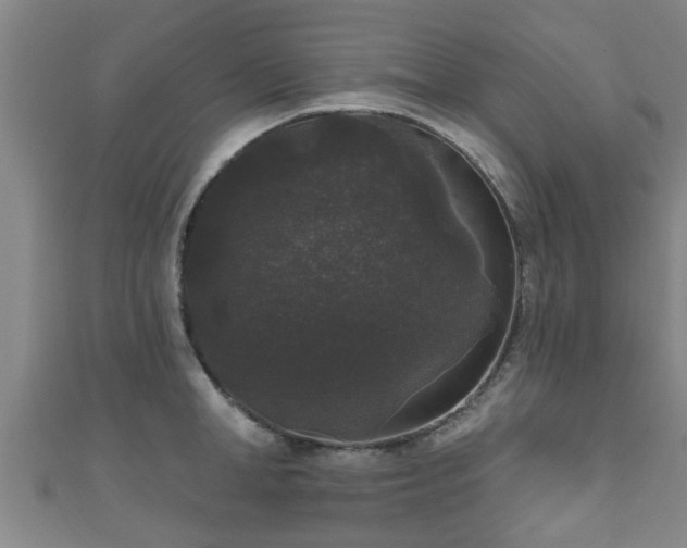 X0000111590998200907231211