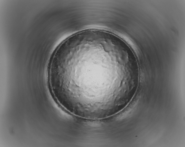 X0000111590999200907231211