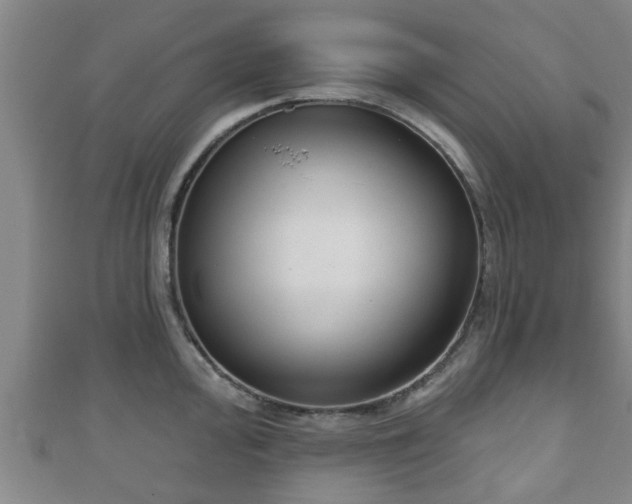 X0000111591000200907231211