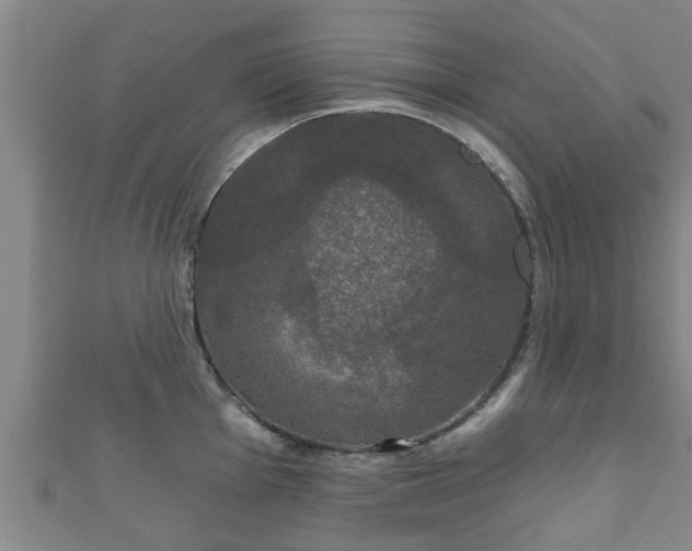 X0000111591001200907231211