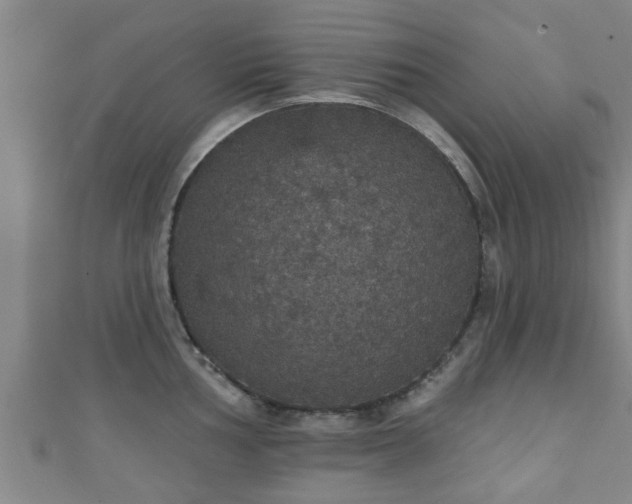 X0000111591002200907231211