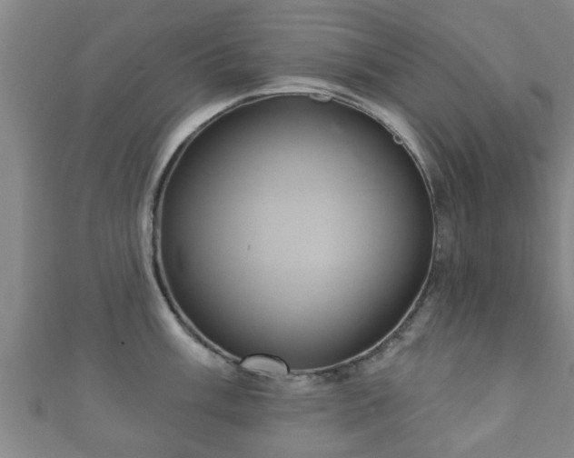 X0000111591003200907231211