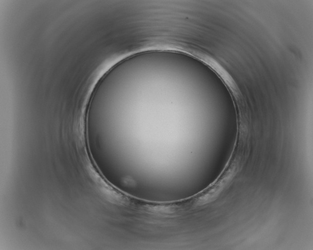 X0000111591004200907231211