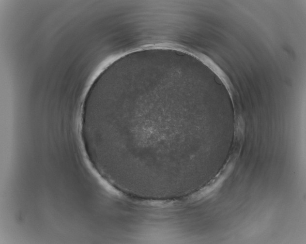 X0000111591005200907231211