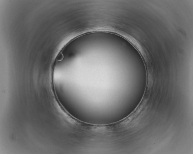 X0000111591006200907231211