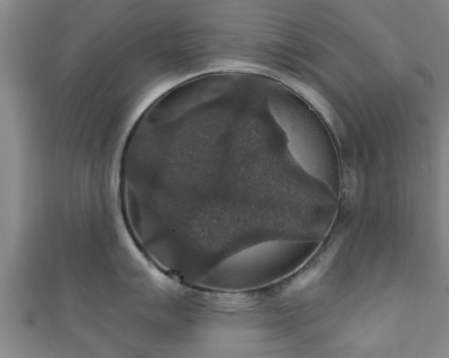 X0000111591007200907231210