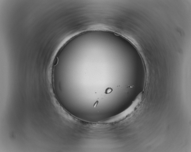 X0000111591008200907231210