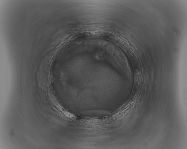 X0000111591009200907231210