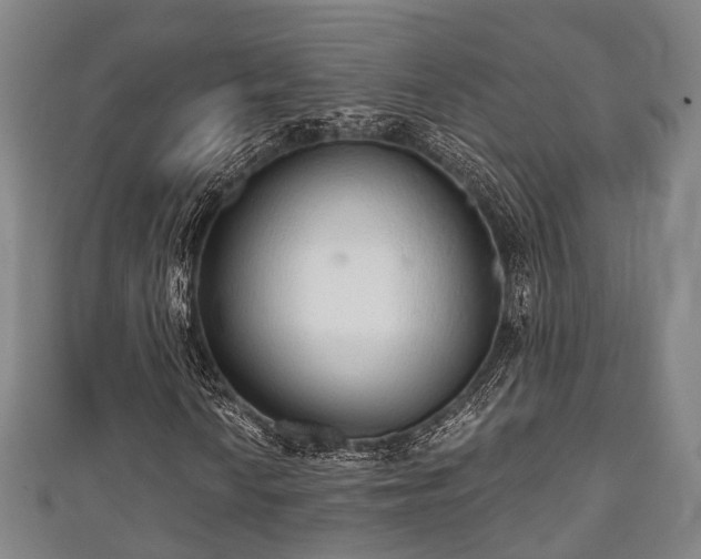 X0000111591010200907231210