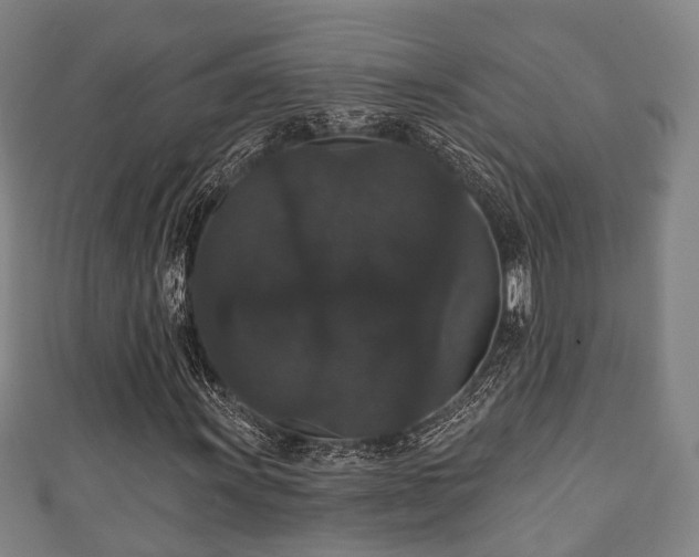 X0000111591011200907231210