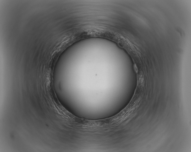 X0000111591012200907231210