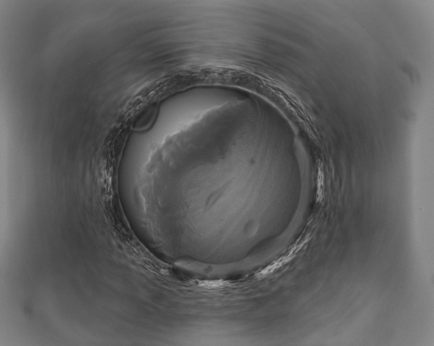 X0000111591013200907231210