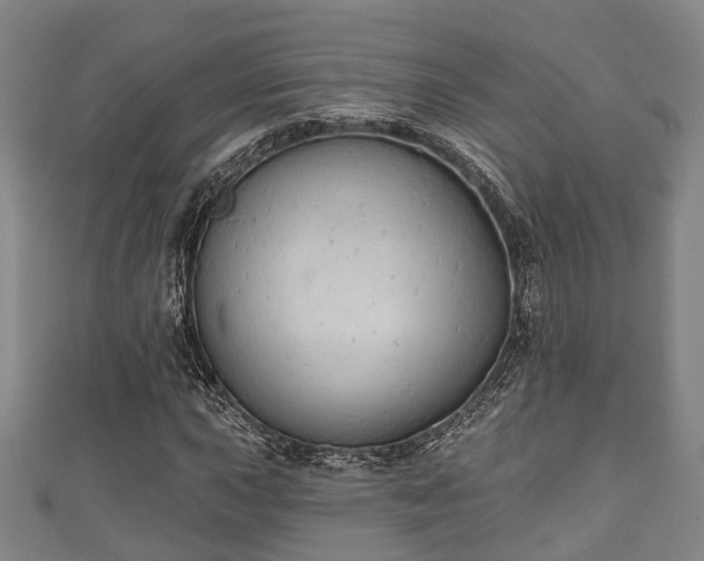 X0000111591015200907231210