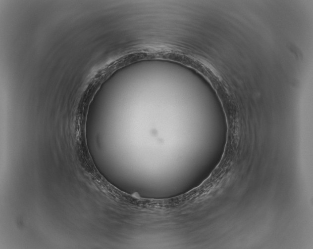 X0000111591016200907231210