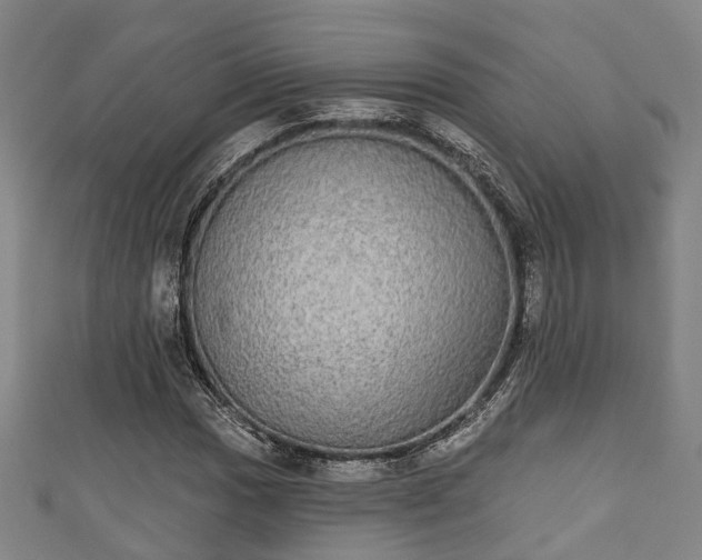 X0000111591017200907231210