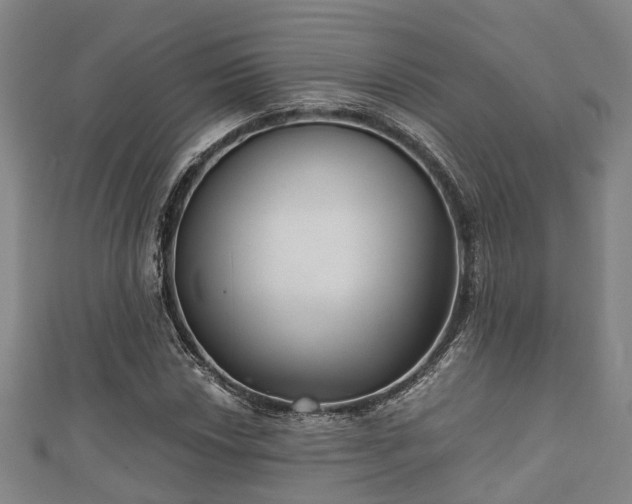 X0000111591018200907231210