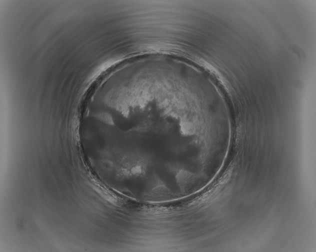 X0000111591019200907231210