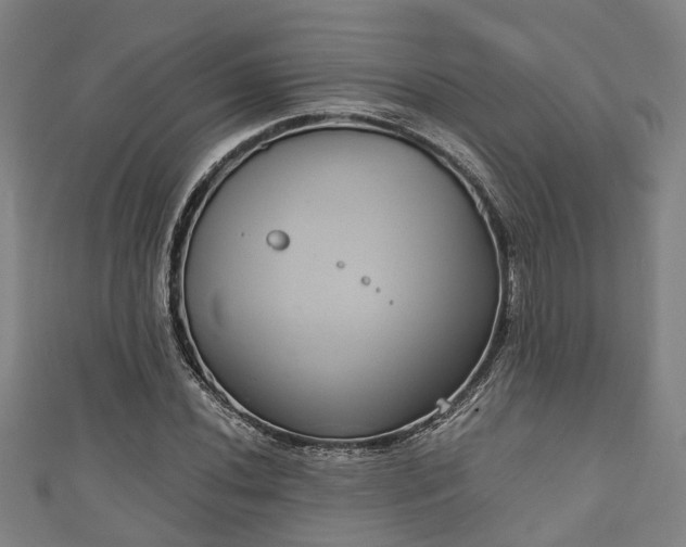 X0000111591020200907231210