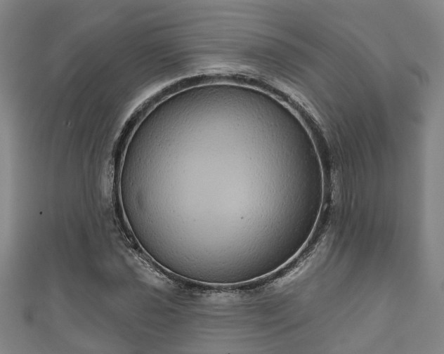 X0000111591021200907231210