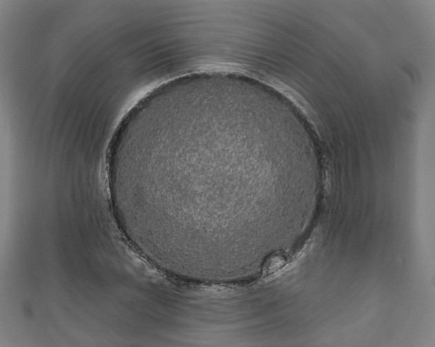 X0000111591022200907231210