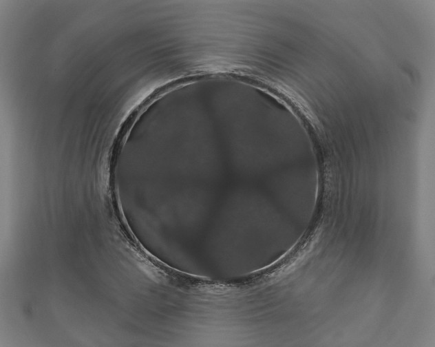 X0000111591023200907231210