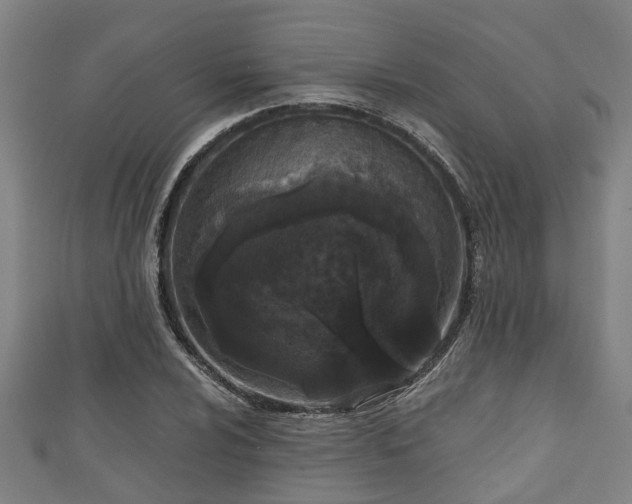 X0000111591024200907231210