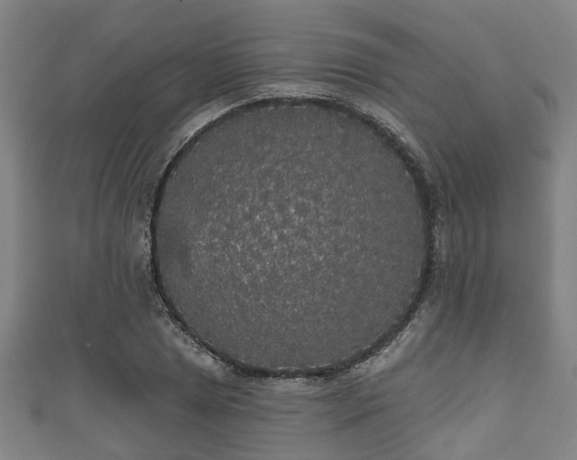 X0000111591025200907231210