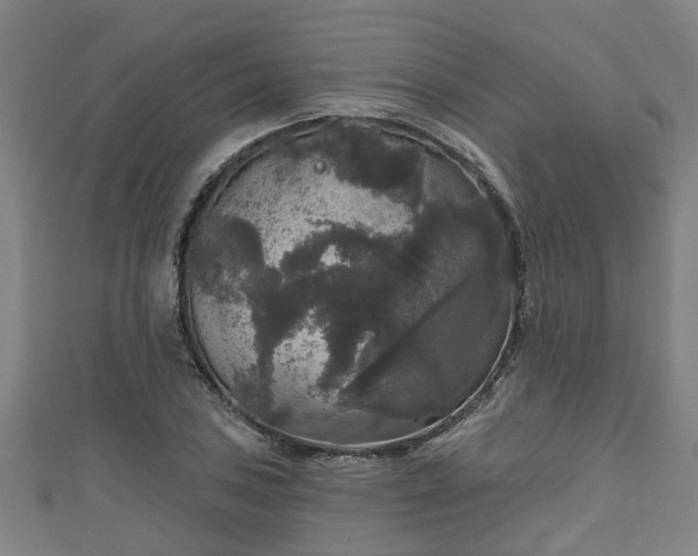 X0000111591027200907231210