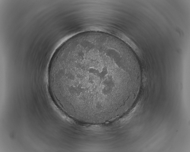 X0000111591028200907231210