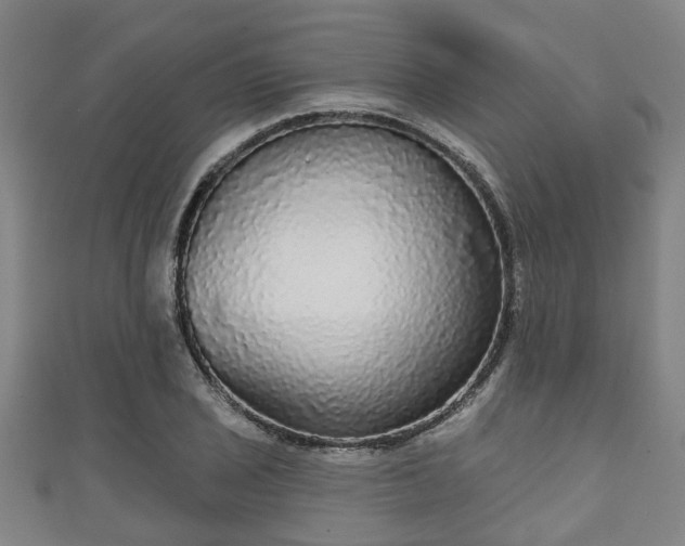 X0000111591029200907231210