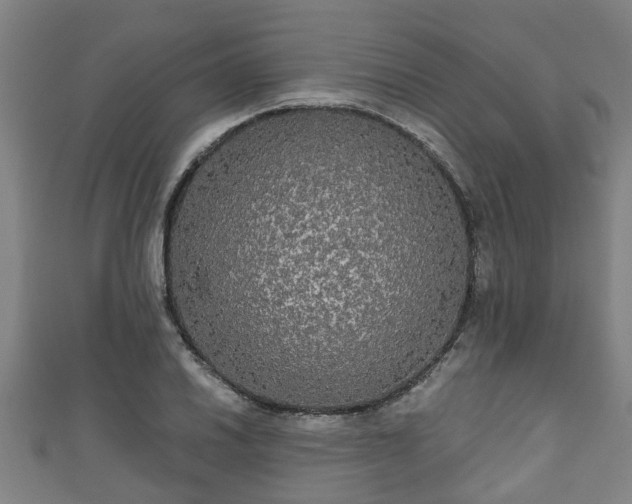 X0000111591030200907231210