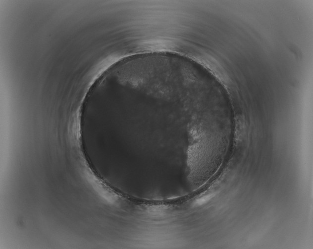 X0000111591031200907231210