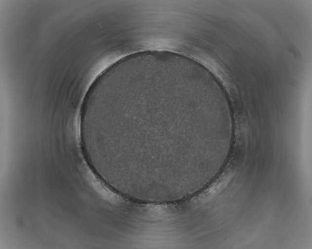 X0000111591032200907231210