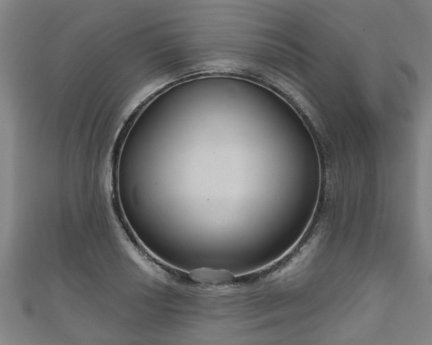 X0000111591034200907231210