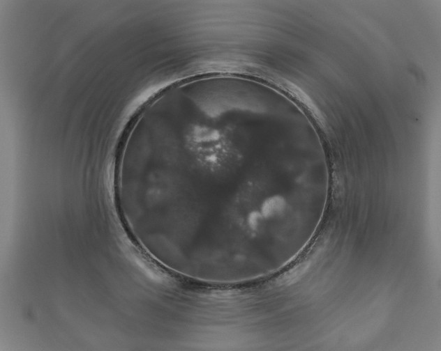 X0000111591035200907231210